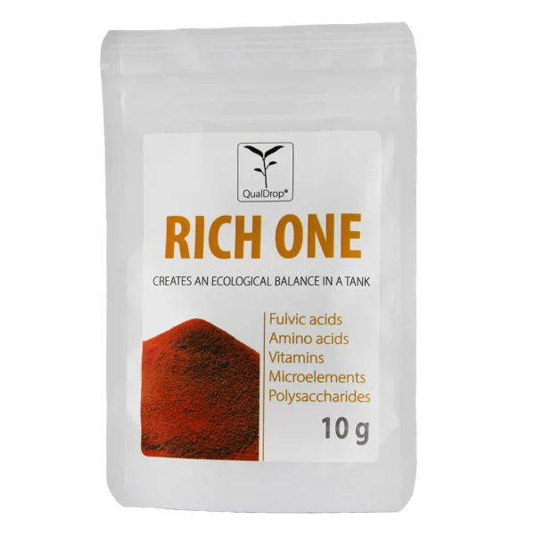 Rich One - Image 2