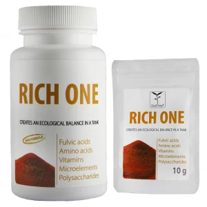 Rich One