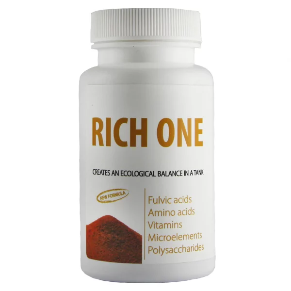 Rich One - Image 3