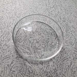 Shrimp Feeding Dish