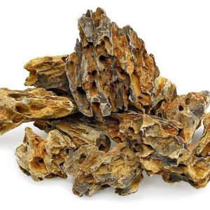 Brown Holey Dragon Stone (Per KG)