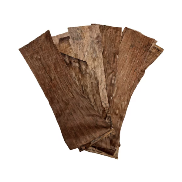 Banana Leaves x 10 - Image 2