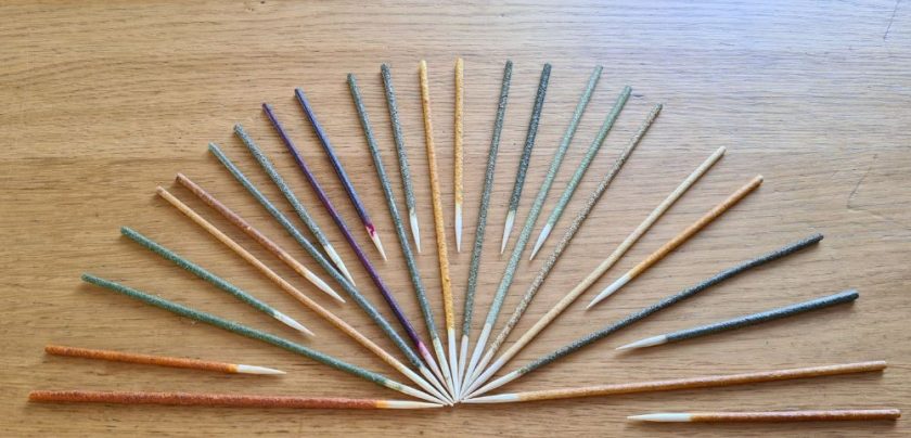 Shrimps Forever Shrimp Lollie Noce 10 Pezzi - Agri Pet Garden