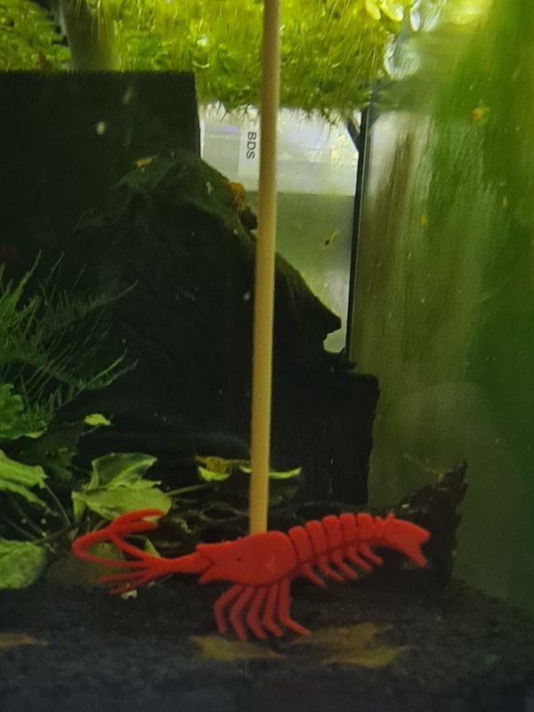 GBee Shrimp Lolly Holders - Image 4
