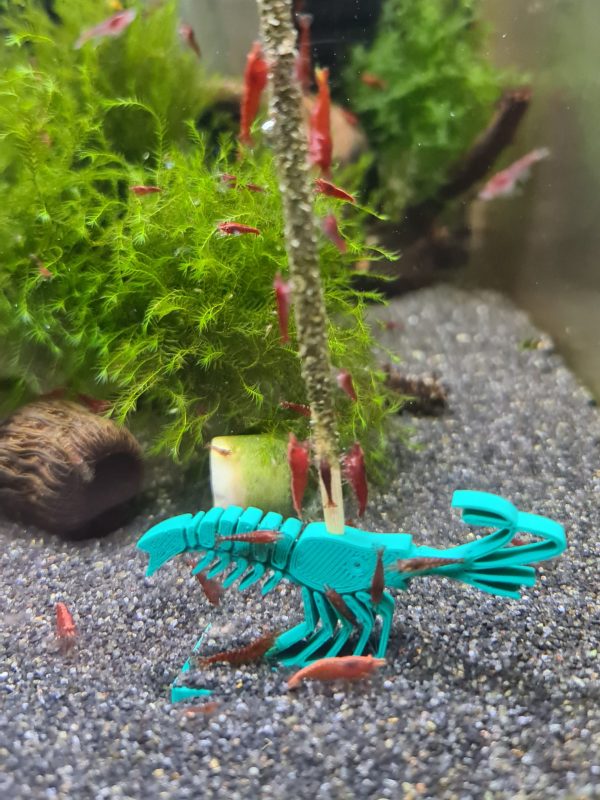 GBee Shrimp Lolly Holders - Image 3