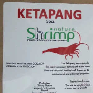 Shrimp Nature Ketapang (5 pcs)