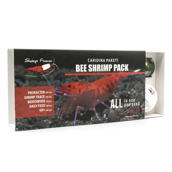 Shrimps Forever Caridina box - Image 4