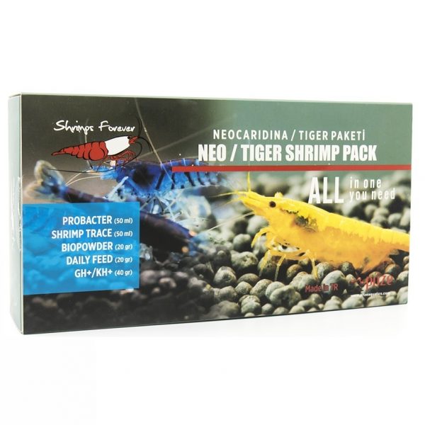 Shrimps Forever Neocaridina / Tiger box - Image 2