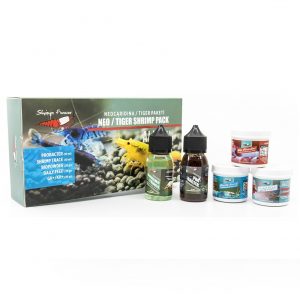 Shrimps Forever Neocaridina / Tiger box