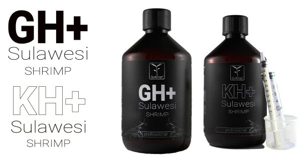 KH + Sulawesi 500ml - Image 2