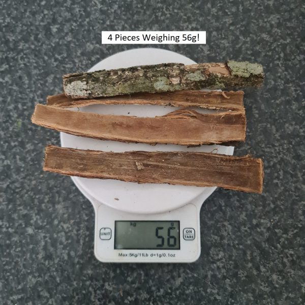 Catappa Bark - Image 2