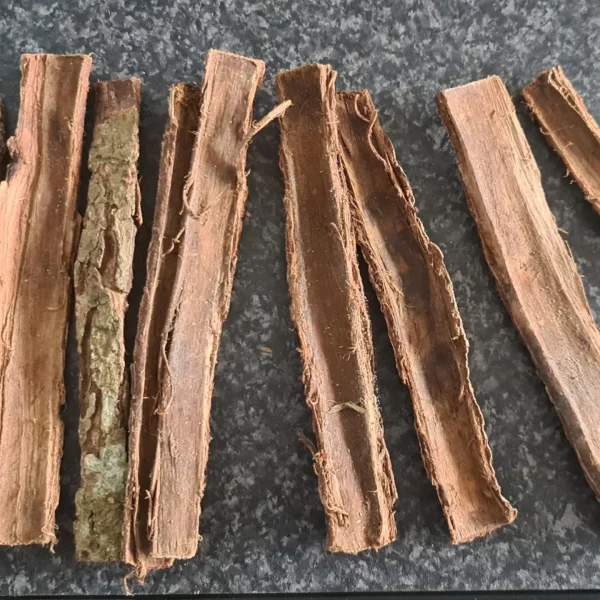 Catappa Bark - Image 3